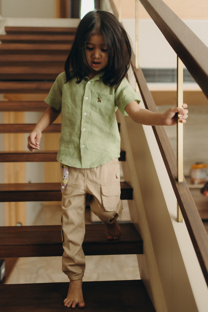 Pure linen shirt in Sage green