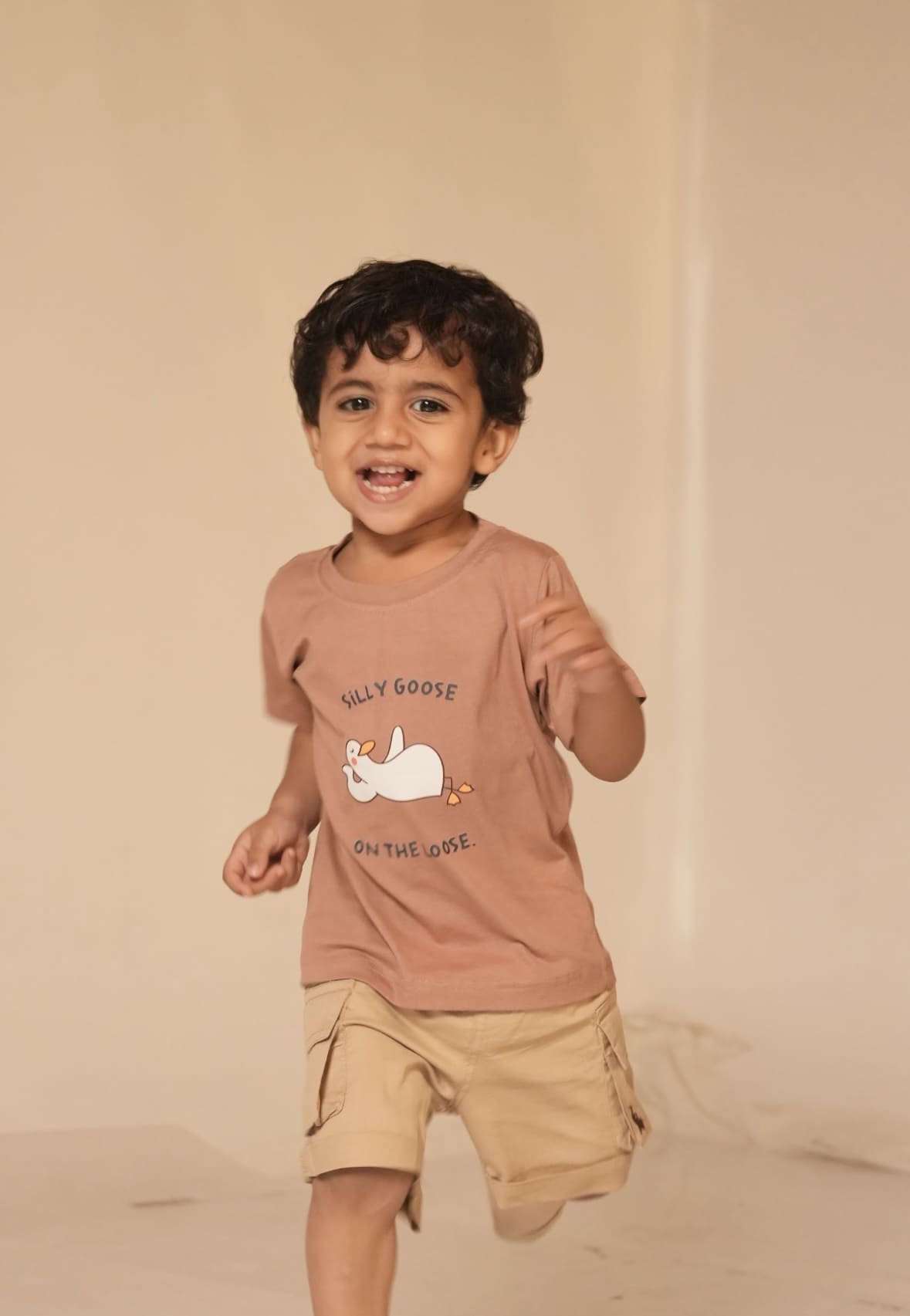 Silly goose tee