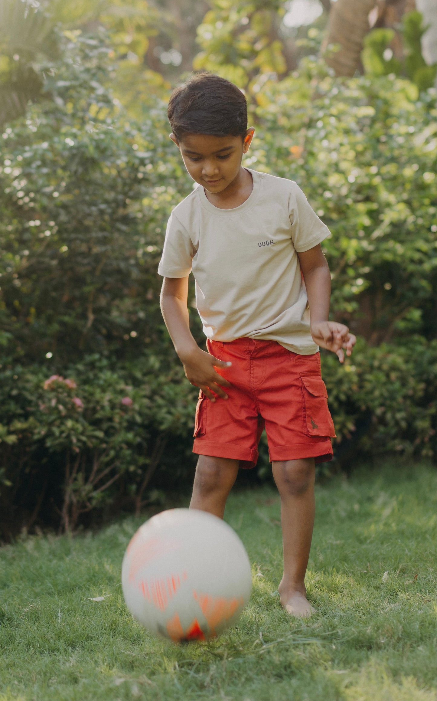 Rust Cargo Shorts