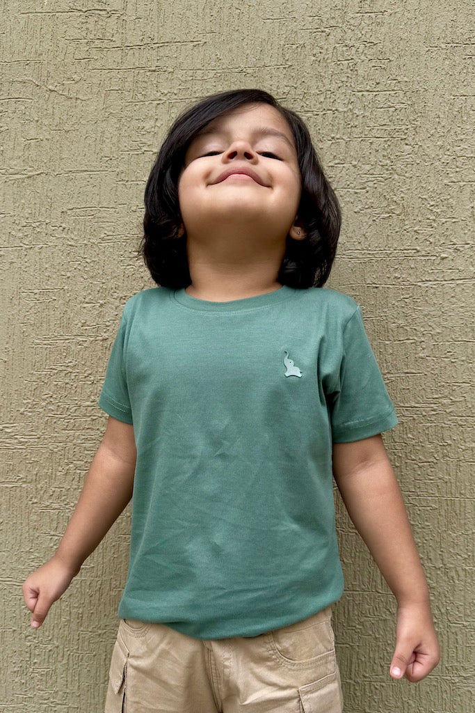 sage green solid tee